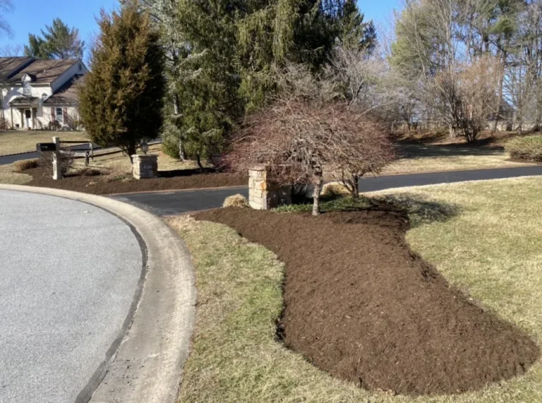 Freshly installed mulch bed along a curved driveway entrance