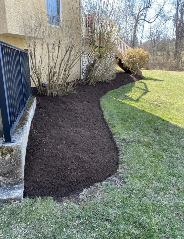 Clean foundation mulch bed with crisp edging along a backyard lawn
