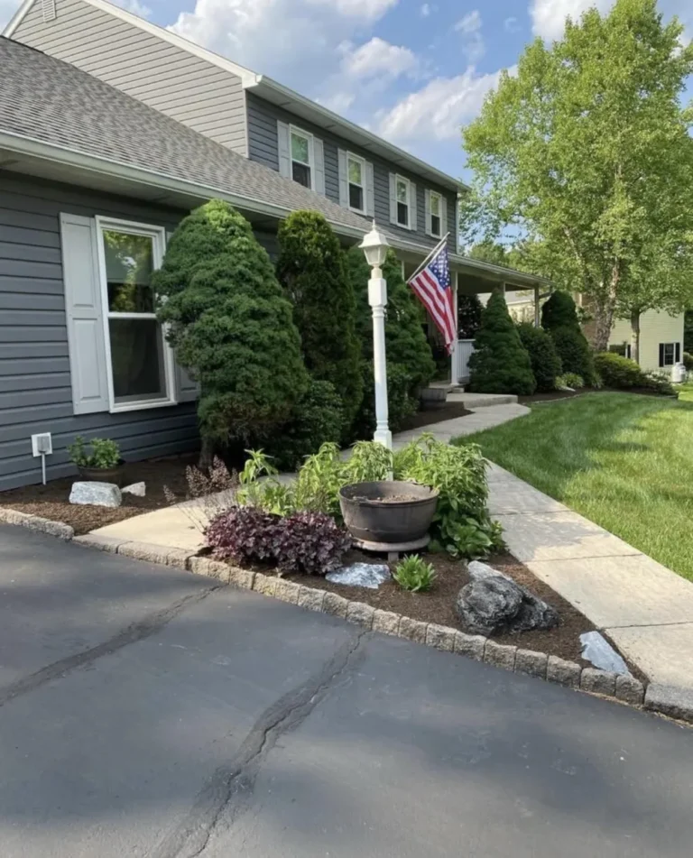 Manicured evergreen shrub bed with fresh mulch and stone edging along a driveway
